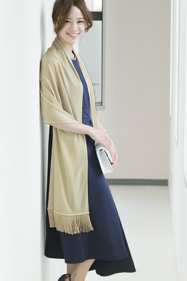 イメージ（シャンパンゴールド）