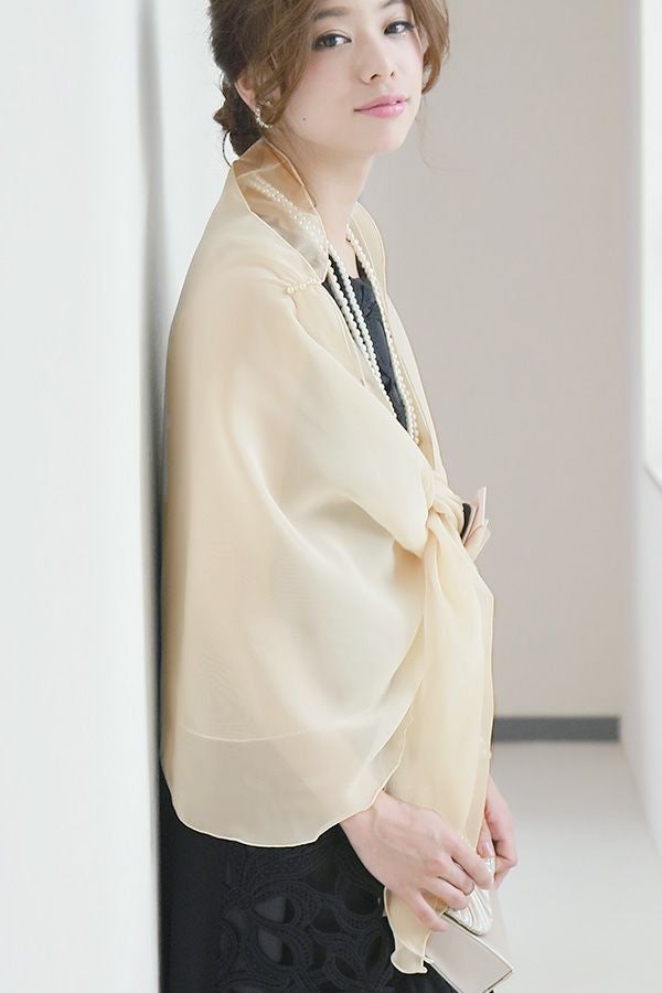 イメージ（ベージュ）